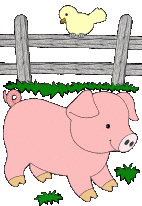 Gris og fugl ved plankev�rk