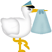 Stork med lysebl�t sv�b