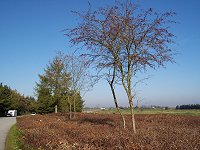 T�mning.. det er vist bedst at vise udsigten p� pladsen