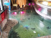 Restaurant Bounty som vi gik forbi, der var 'akvarie' i gulvet, ved dog ikke om der ogs� var fisk i.