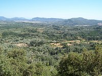 Den gr�nne � bliver Korfu ogs� kaldt og gr�nt er der i hvert fald