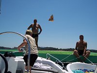 En sommerfugl kom tilf�ldigvis med p� billedet