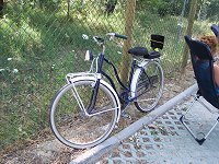 Fuld mands cykel med spinkel barnestol