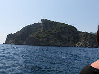 L�vehovede eller abehovede - under b�dturen