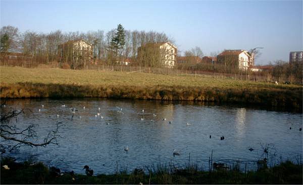 H�jskolen - Esbjerg