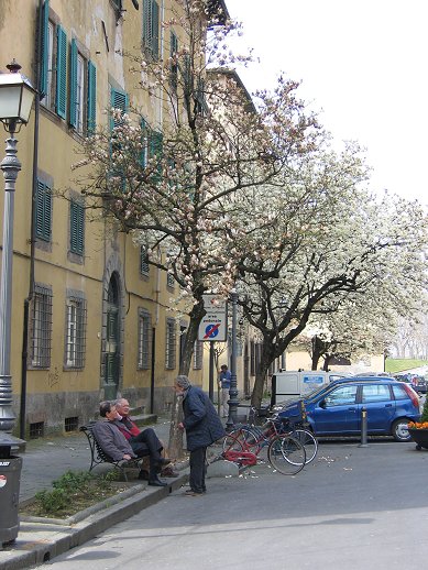 For�ret er kommet til Lucca.