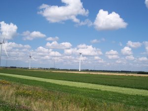 Billedet efter resize af pixel-st�rrelsen