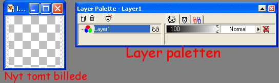 Nyt tomt billede og Layer paletten til h�jre