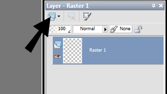 Knappen New raster layer - i �verste venstre side af Layer paletten