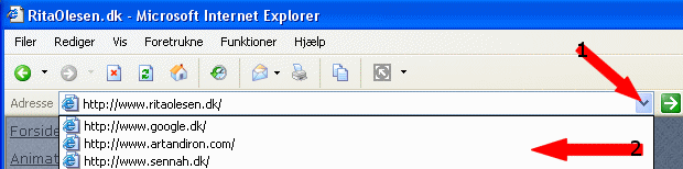 Oversigten over bes�gte sider kan ses f.eks. ved at klikke p� den lille pil til h�jre for adresselinjen