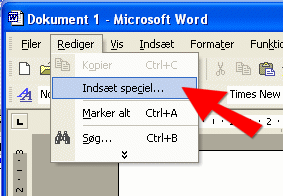 Rediger/Inds�t speciel
